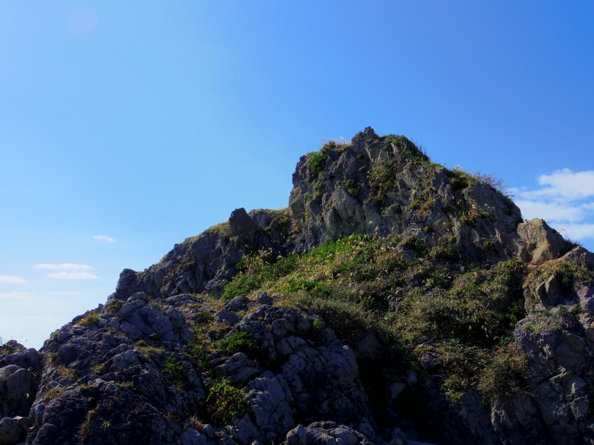 写真 #12