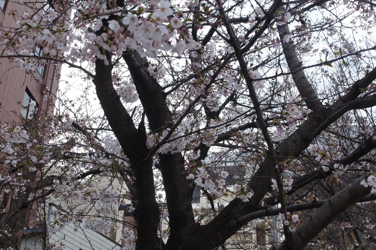 写真 #17