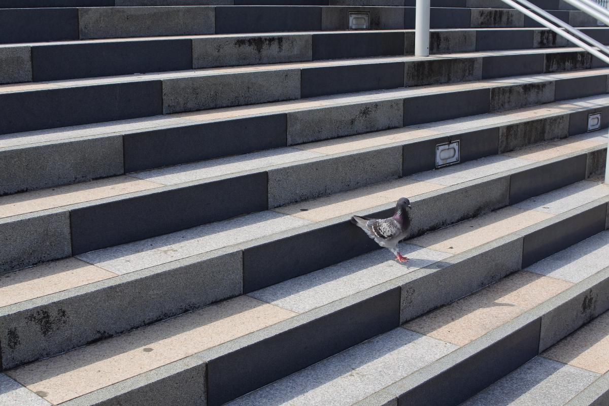 写真 #22