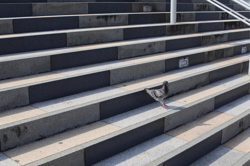 写真 #22