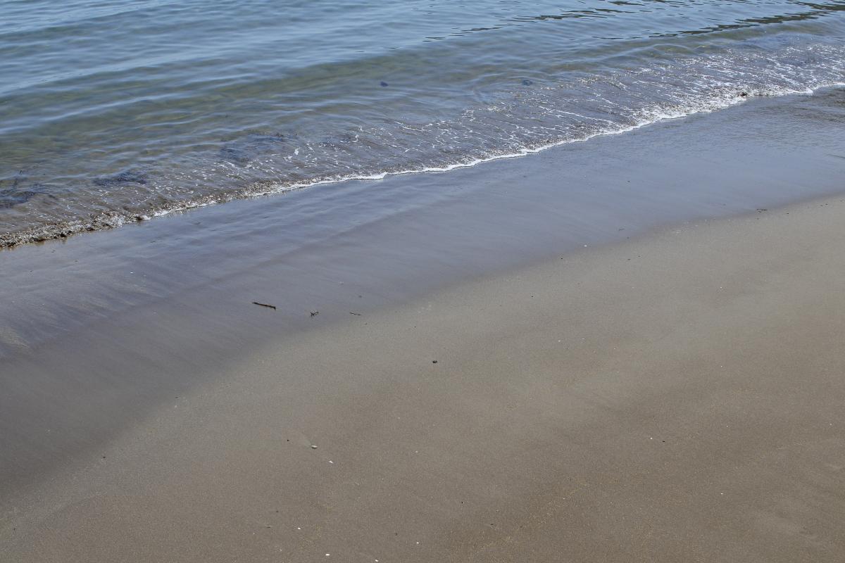 写真 #27