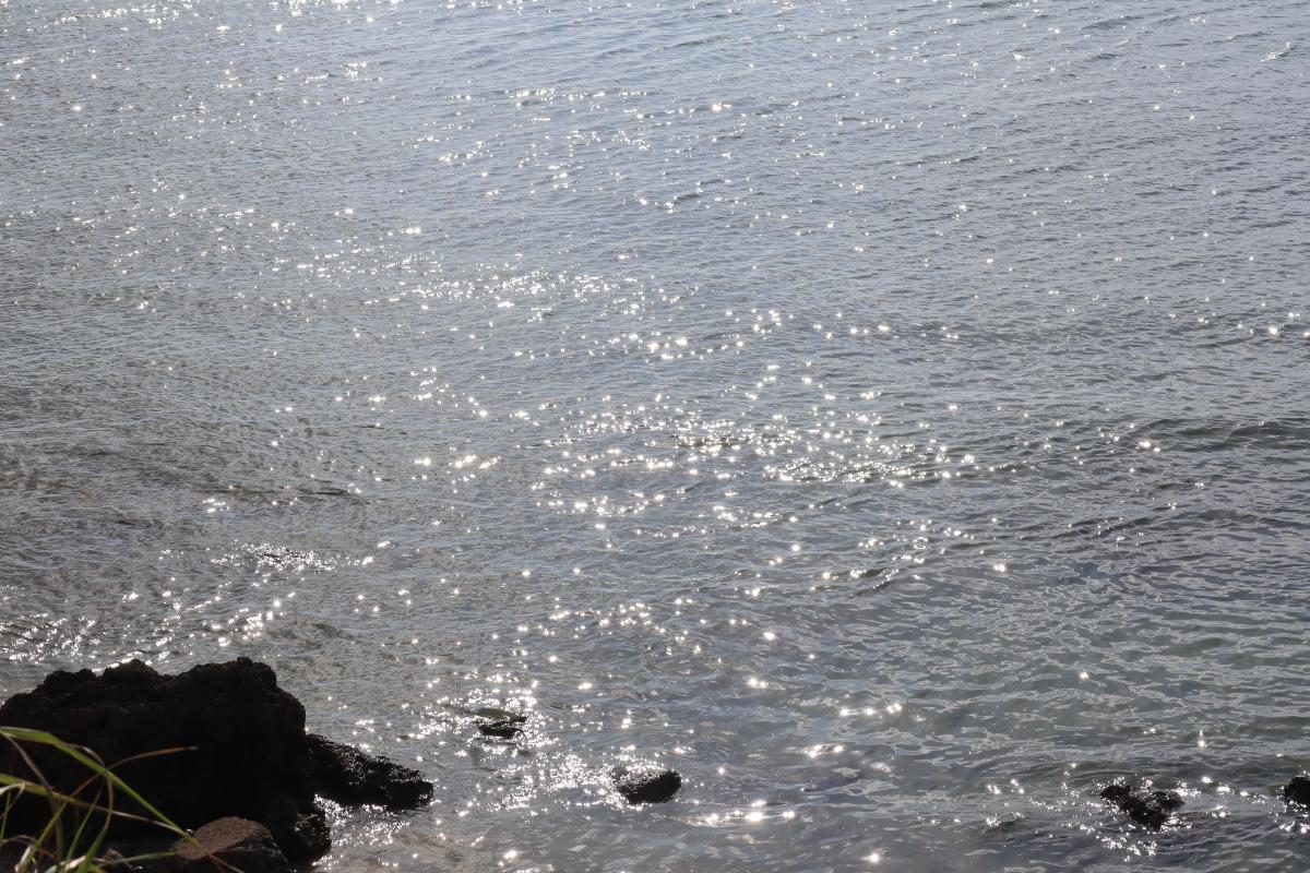 写真 #32