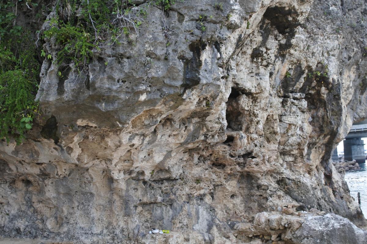 千葉の崖